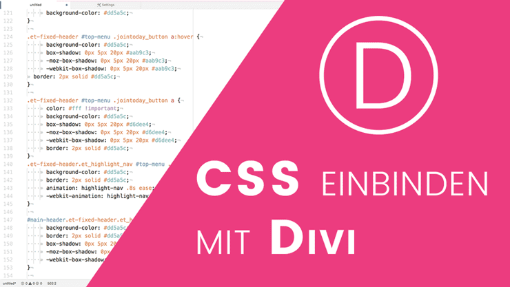 CSS Code einbinden mit dem Divi Theme