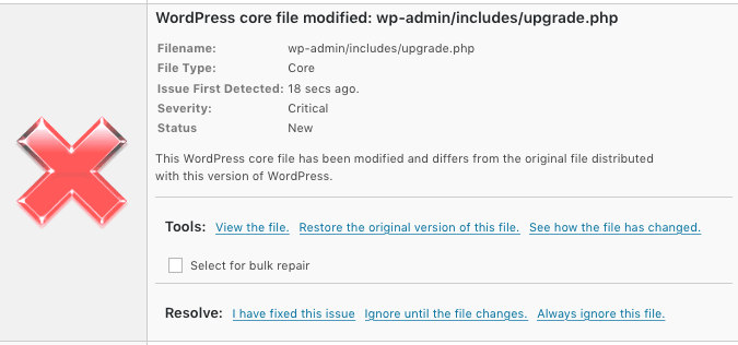 Wordfence Security Scan Results