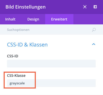 CSS Klasse definieren fuer Schwarzweiß Mouseover Effekt