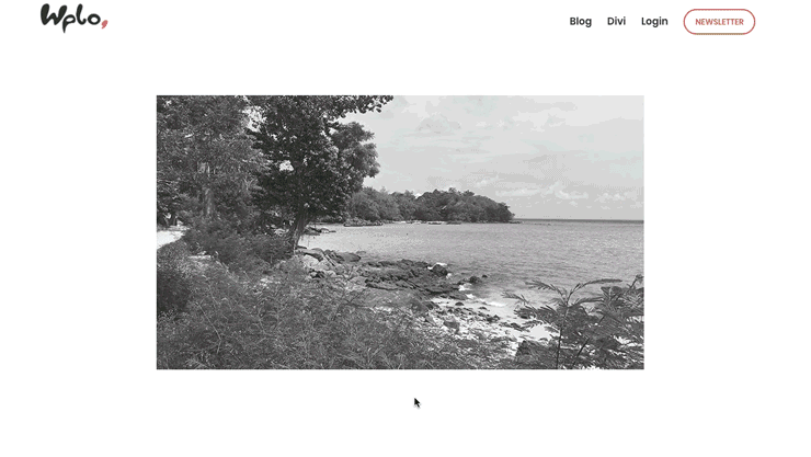 Images Black and White Effect for Hover with Divi